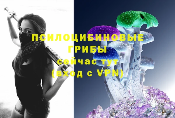 мдпв Ельня